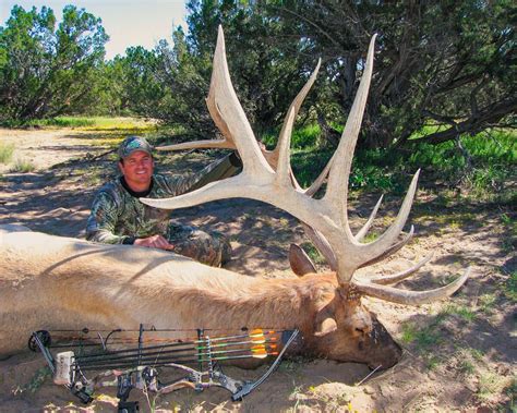 Trophy Bull Elk Hunting New Mexico | BMO Hunts