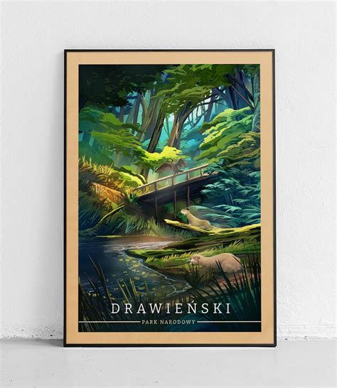 Drawa National Park- poster - vintage 50 x 70 cm \ Smooth matte ...