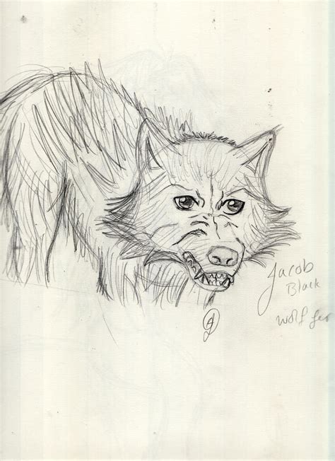 jacob black wolf form by twiheart182 on DeviantArt