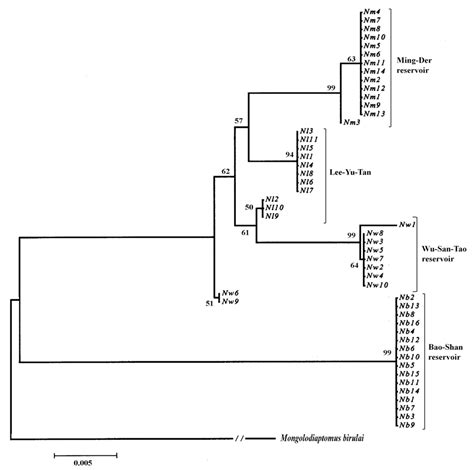 Diversity | Special Issue : Genetic Diversity and Molecular Evolution