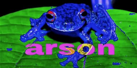 What is the Arson Frog TikTok Meme And How Did It Spread?