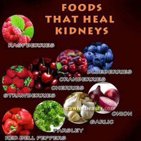 143 best images about KIDNEY HEALTH on Pinterest