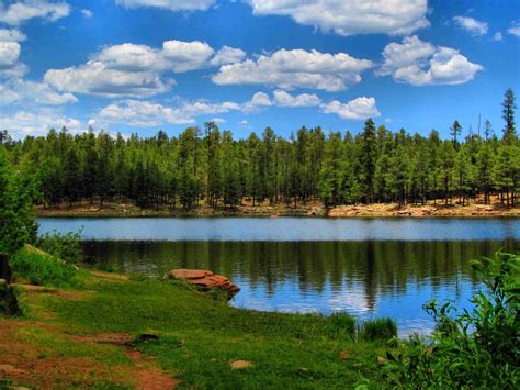 Arizona's White Mountains Makes The Perfect Getaway | Camping inspiration, White mountains ...