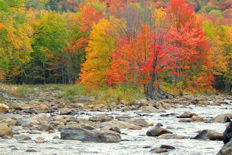 Celebrate Fall Foliage in Bennington, Vermont - Vermont Begins Here