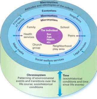 Bronfenbrenner's Bio-Ecological Systems Model Urie Bronfenbrenner ...