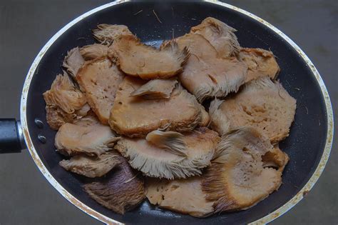 Cooked slices of Hericium erinaceus (Lion's Mane...from a tree in Huntsville Park. Texas | Lion ...