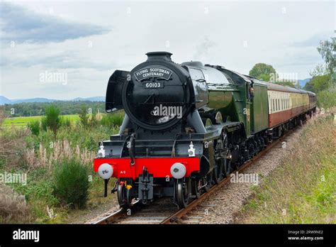 The Flying Scotsman running on Strathspey Railway between Aviemore and Broomhill during it’s ...