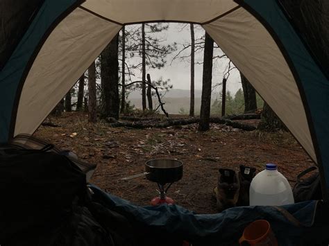 Manistee River Trail, Michigan. Didn’t even edit this photo : r/CampingandHiking