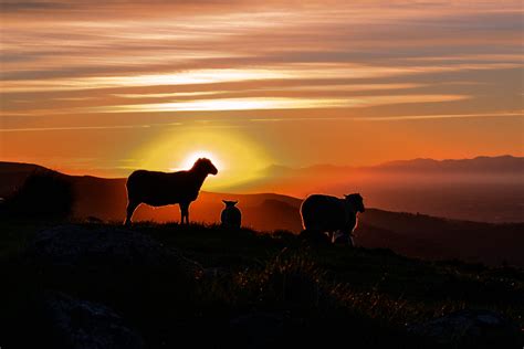 New Zealand Sunrise Sunset Times