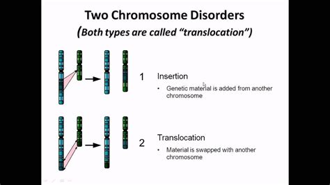 Chromosome abnormalities - structural abnormalities - YouTube