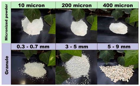 Zeolite Types - ITALMEDCO s.r.l Company