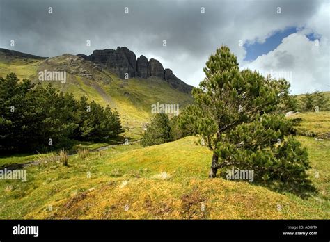 Old Man of Storr, Isle of Skye Stock Photo - Alamy