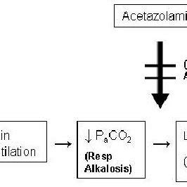 Acetazolamide Mechanism