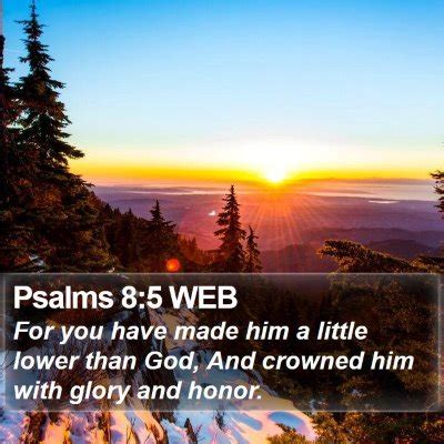 Psalms 8 Scripture Images - Psalms Chapter 8 WEB Bible Verse Pictures