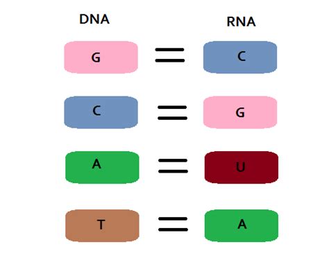 Question #cc064 + Example