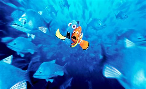 Finding Nemo Deep Sea Fish