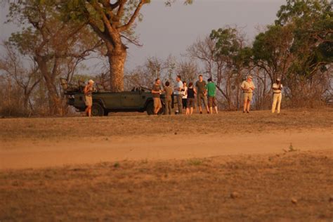 Kruger Park Lodge Safari - Budget Kruger Timbavati Tour