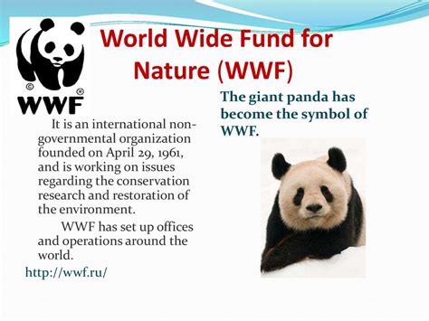 World Wide Fund for Nature (WWF) - online presentation