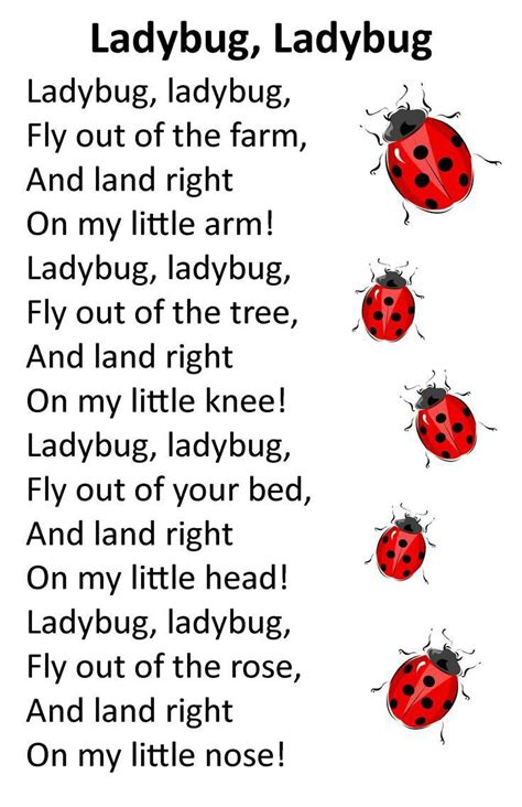 Pin by Janeth Almonacid on ladybugs | Preschool songs, Kids poems, Insects preschool