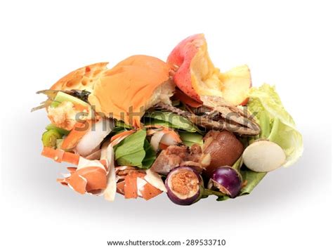 Composting Pile Rotting Kitchen Fruits Vegetable Stock Photo (Edit Now) 289533710