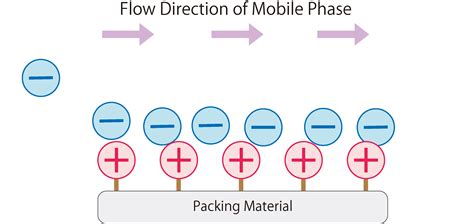 Ion Exchange Chromatography : SHIMADZU (Shimadzu Corporation)