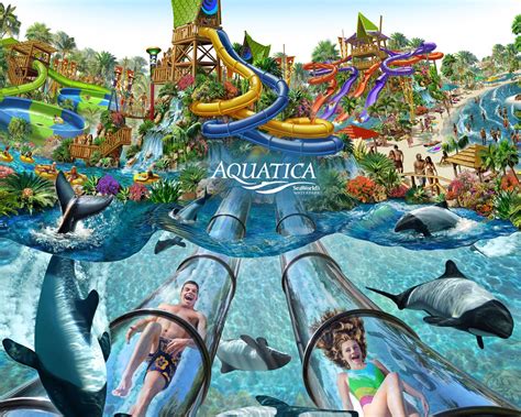 Aquatica Orlando Water Park | Tickets Products at DIP TRAVEL