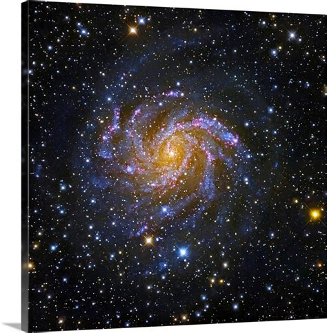 NGC 6946, also known as the Fireworks Galaxy Wall Art, Canvas Prints, Framed Prints, Wall Peels ...