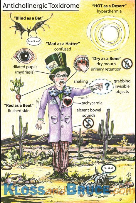 Anticholinergic Toxidrome | Asthma and Treats