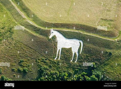 Aerial view Westbury White Horse at Bratton Camp, Wiltshire, UK. JMH6197 Stock Photo - Alamy