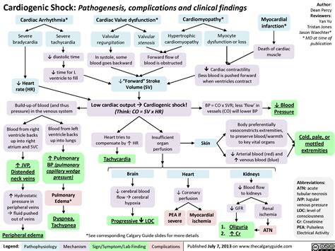 Cardiogenic Shock | Calgary Guide