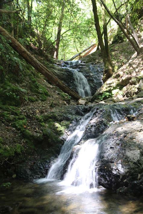 Uvas Canyon Waterfalls - South Bay Area's 6-Waterfall Refuge