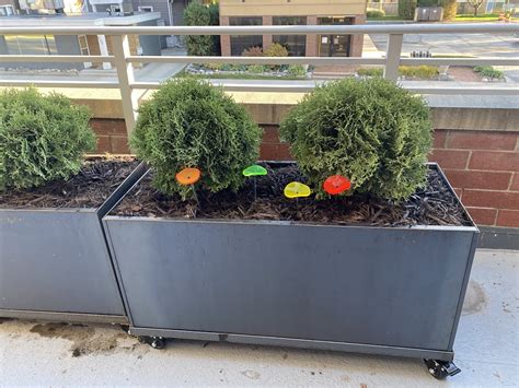 Corten Trough on Casters - Nice Planter - Space To Grow