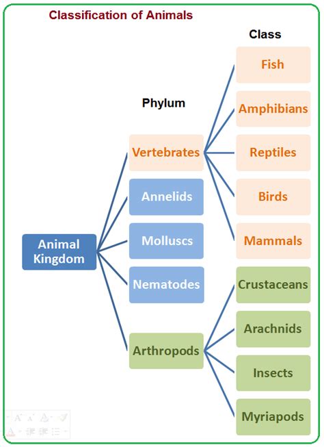 Classification - Biology Notes for IGCSE 2014