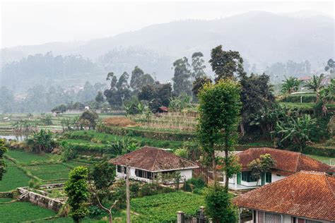 Exploring coffee culture of West Java, Indonesia — elena shamis