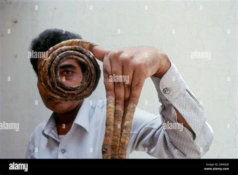 Shridhar Chillal, longest fingernails world record, India, Asia Stock Photo - Alamy