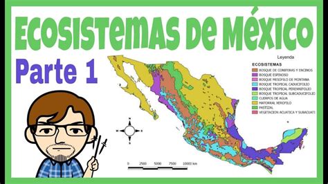 Ecosistemas en México 1 - YouTube