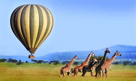 An Extraordinary Adventure with Serengeti hot-air balloon ~ Ukarimu Blog - The Perfect Solution ...