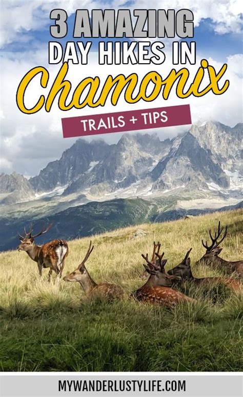 Best hikes in chamonix 4 easy to moderate hiking trails tips – Artofit