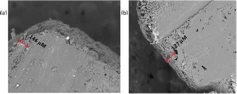 Cross-sectional micro-structure of (a) palm stearin coated urea (UPS),... | Download Scientific ...