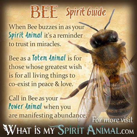 Bee Symbolism & Meaning | Spirit, Totem & Power Animal