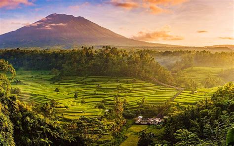 Download wallpapers Bali, rice fields, sunset, summer, Indonesia ...