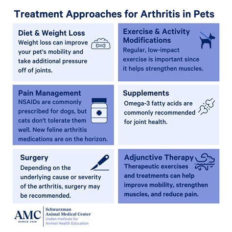 How Is Arthritis Treated In Dogs