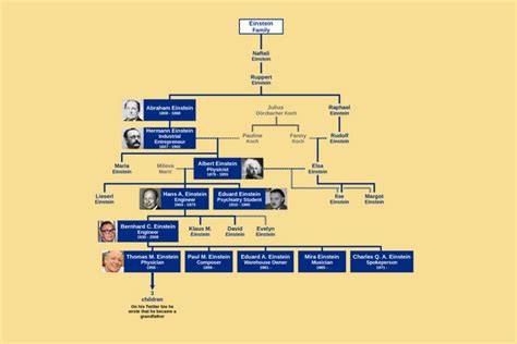 Family Tree of Albert Einstein : r/UsefulCharts