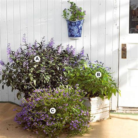 10 of Our Best Butterfly Container Garden Ideas | Container garden ...