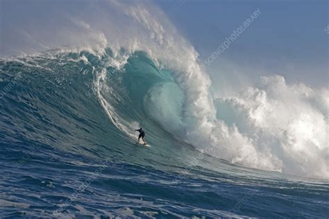 Big wave surfing in Hawaii - Stock Image - C056/7764 - Science Photo ...