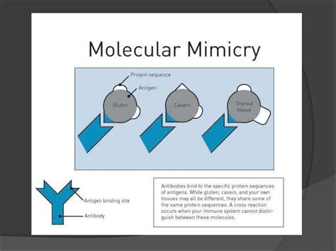 Molecular mimicry