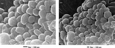 Three-Dimensional Analysis of Melanosomes Isolated from B16 Melanoma Cells by Using Ultra High ...