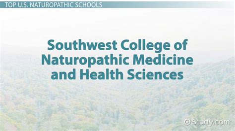 Top Naturopathic Schools and Colleges in the U.S.