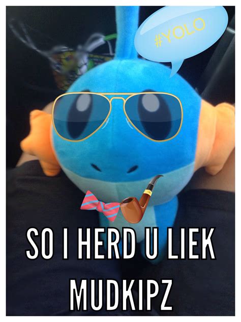 Mudkip Meme: SO I HERD U LIEK MUDKIPZ | Know Your Meme