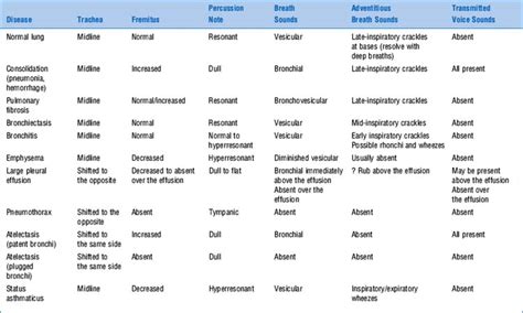 Lung sounds and what they mean